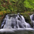 /album/fotogaleria/cascada-ecologica-7-jpg/